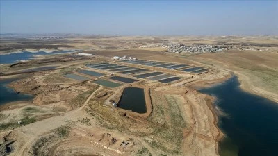 Duhok'taki Irak'ın en b&uuml;y&uuml;k balık tesisinde yıllık 1000 ton balık eti &uuml;retiliyor