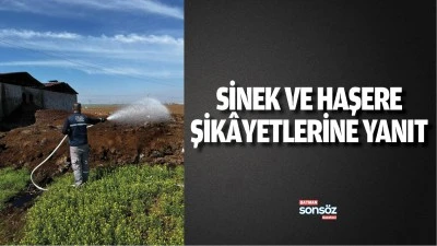 Sinek ve haşere şik&acirc;yetlerine yanıt