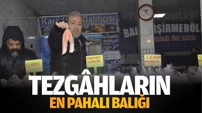 Tezg&acirc;hların en pahalı balığı