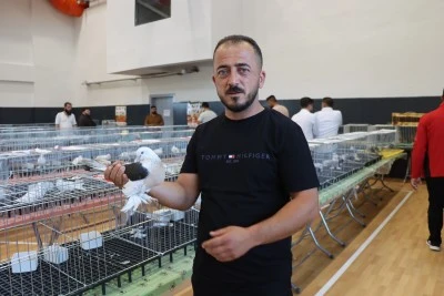 &nbsp;"Midyat-Musul G&uuml;vercin Festivali" d&uuml;zenlendi