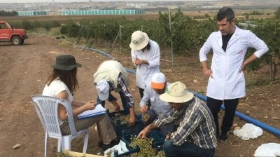 Islah edilen &uuml;z&uuml;m &ccedil;eşidiyle verimde artış sağlanacak