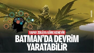 Yapay zek&acirc;ya g&ouml;re kenevir, Batman&rsquo;da devrim yaratabilir