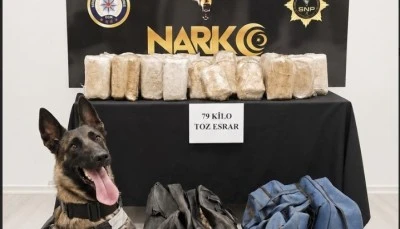 &nbsp;Tırda 79 kilogram esrar ele ge&ccedil;irildi