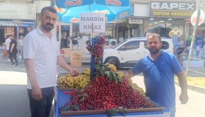 Mardin kirazı tezg&acirc;hlarda yerini aldı