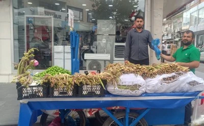 Yayla Muzu Tezg&acirc;hlardaki Yerini Aldı