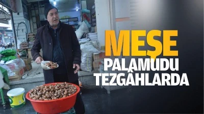 Meşe palamudu tezg&acirc;hlarda