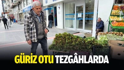 G&uuml;riz otu tezg&acirc;hlarda