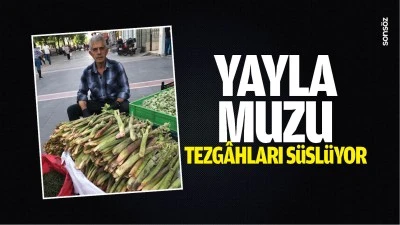 Yayla muzu tezg&acirc;hları s&uuml;sl&uuml;yor