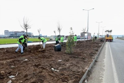 &nbsp;Binlerce ağa&ccedil; ve &ccedil;alı toprakla buluştu