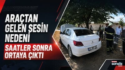 ARA&Ccedil;TAN GELEN SESİN NEDENİ SAATLER SONRA ORTAYA &Ccedil;IKTI