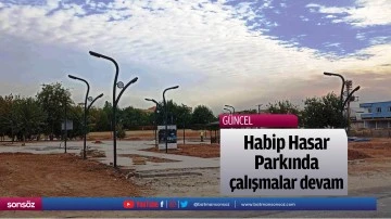 Habip Hasar Parkında &ccedil;alışmalar devam