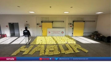 Habur G&uuml;mr&uuml;k Kapısı'nda bir tırda 850 kilogram eroin ele ge&ccedil;irildi