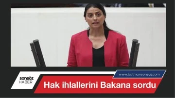 Hak ihlallerini Bakana sordu