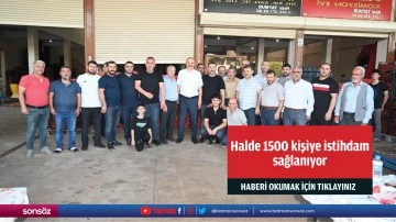 Halde 1500 kişiye istihdam sağlanıyor