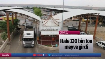 Hale 120 bin ton meyve girdi