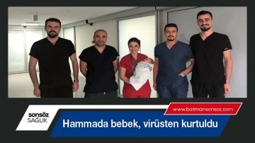 Hammada bebek, vir&uuml;sten kurtuldu