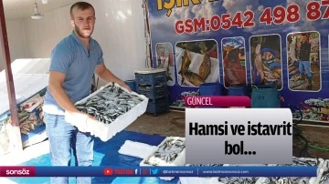 Hamsi ve istavrit bol&hellip;