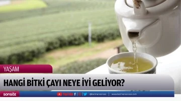 HANGİ BİTKİ &Ccedil;AYI NEYE İYİ GELİYOR?