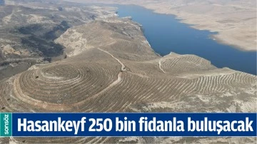HASANKEYF 250 BİN FİDANLA BULUŞACAK