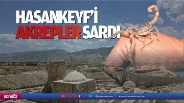 Hasankeyf&rsquo;i akrepler sardı