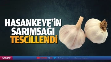 Hasankeyf'in sarımsağı, tescillendi