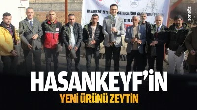 Hasankeyf&rsquo;in yeni &uuml;r&uuml;n&uuml; zeytin&hellip;