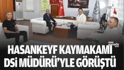 Hasankeyf Kaymakamı, DSİ M&uuml;d&uuml;r&uuml;&rsquo;yle g&ouml;r&uuml;şt&uuml;