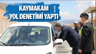 Hasankeyf Kaymakamı, yol denetimi yaptı