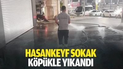 Hasankeyf Sokak, k&ouml;p&uuml;kle yıkandı