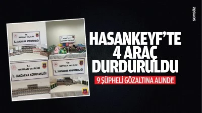 Hasankeyf&rsquo;te 4 ara&ccedil; durduruldu; 9 ş&uuml;pheli g&ouml;zaltına alındı!