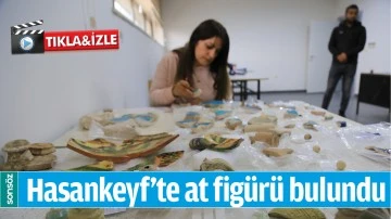 HASANKEYF&rsquo;TE AT FİG&Uuml;R&Uuml; BULUNDU