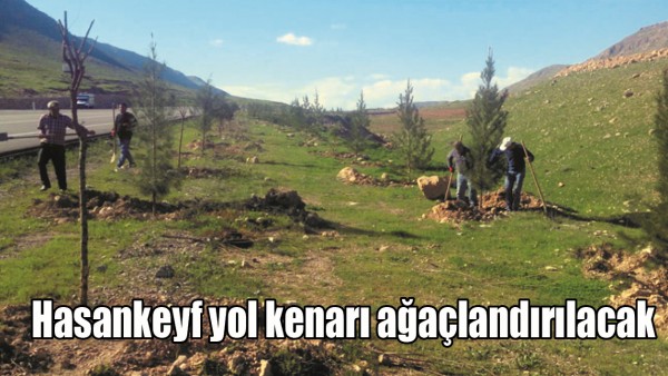 HASANKEYF YOL KENARI AĞA&Ccedil;LANDIRILACAK