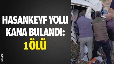 Hasankeyf yolu kana bulandı: 1 &ouml;l&uuml;