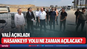Hasankeyf yolu ne zaman a&ccedil;ılacak?