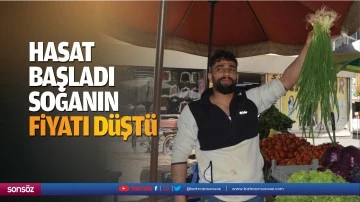 Hasat başladı, soğanın fiyatı d&uuml;şt&uuml;