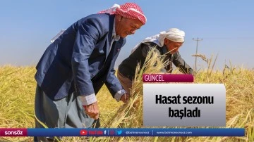 Hasat sezonu başladı