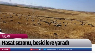 Hasat sezonu, besicilere yaradı