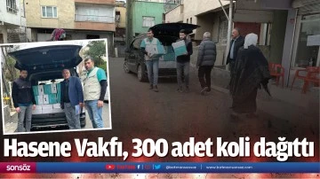 Hasene Vakfı, 300 adet koli dağıttı