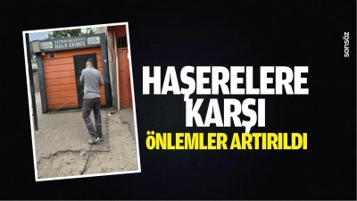 Haşerelere karşı &ouml;nlemler artırıldı