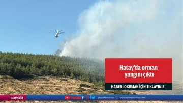 Hatay'da orman yangını &ccedil;ıktı