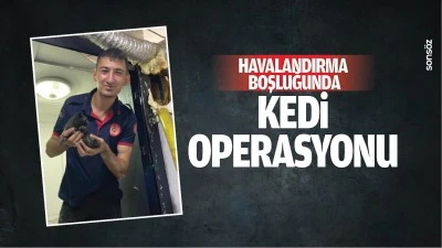 Havalandırma boşluğunda kedi operasyonu