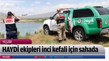 HAYDİ ekipleri inci kefali i&ccedil;in sahada