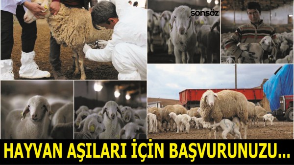 HAYVAN AŞILARI İ&Ccedil;İN BAŞVURUNUZU...
