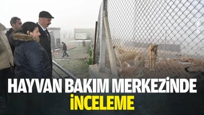 Hayvan Bakım Merkezinde inceleme
