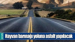 HAYVAN BARINAĞI YOLUNA ASFALT YAPILACAK