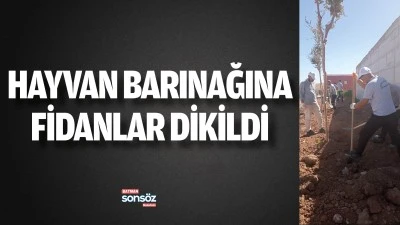 Hayvan barınağına fidanlar dikildi