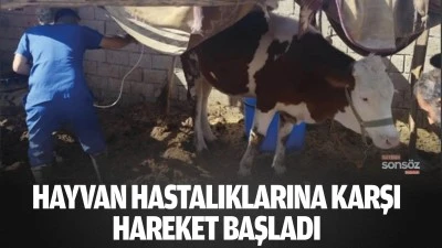 Hayvan hastalıklarına karşı hareket başladı