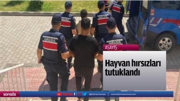 Hayvan hırsızları tutuklandı