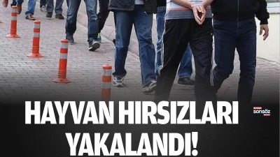 Hayvan hırsızları yakalandı!