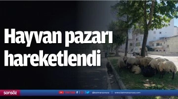 Hayvan pazarı hareketlendi
